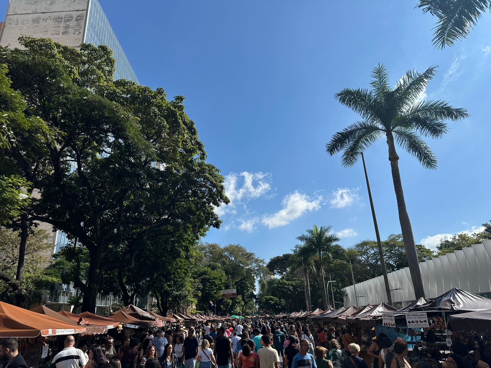 Caminhada com Propósito: Feira Hippie de BH e os Encontros pela Cidade